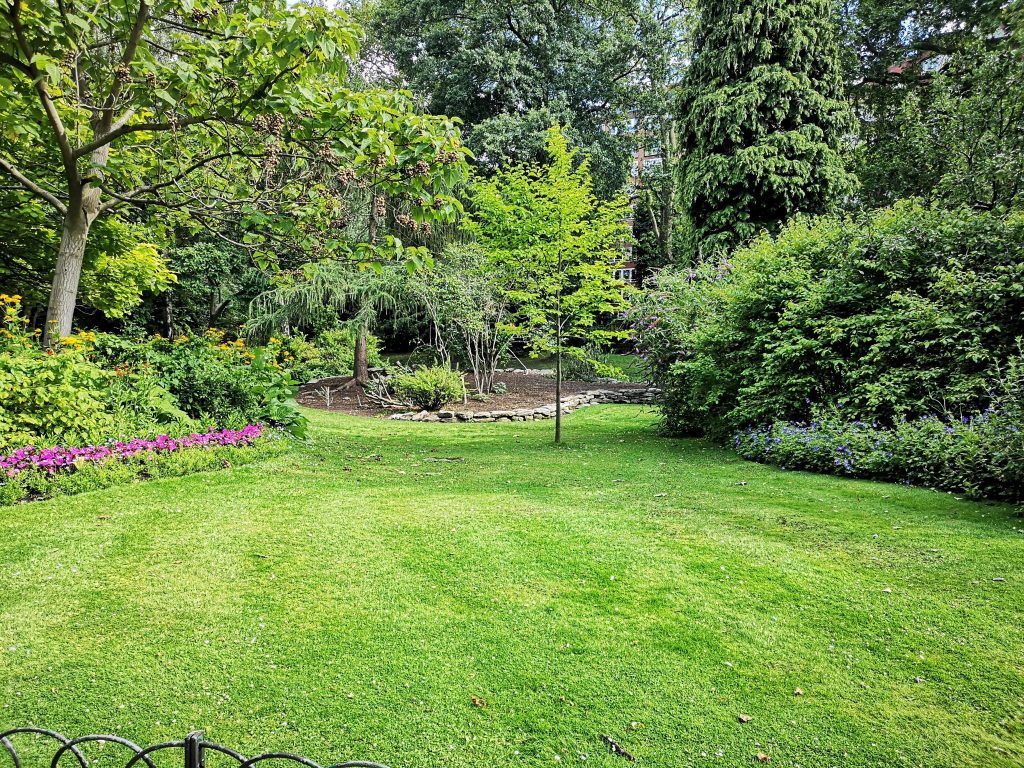 A beautifully landscaped lawn in a garden