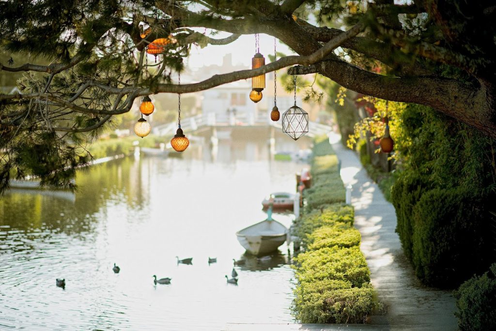 Brown Pendant Lamp Hanging on Tree Near River